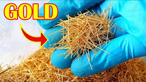 Gold transistor from e‑waste